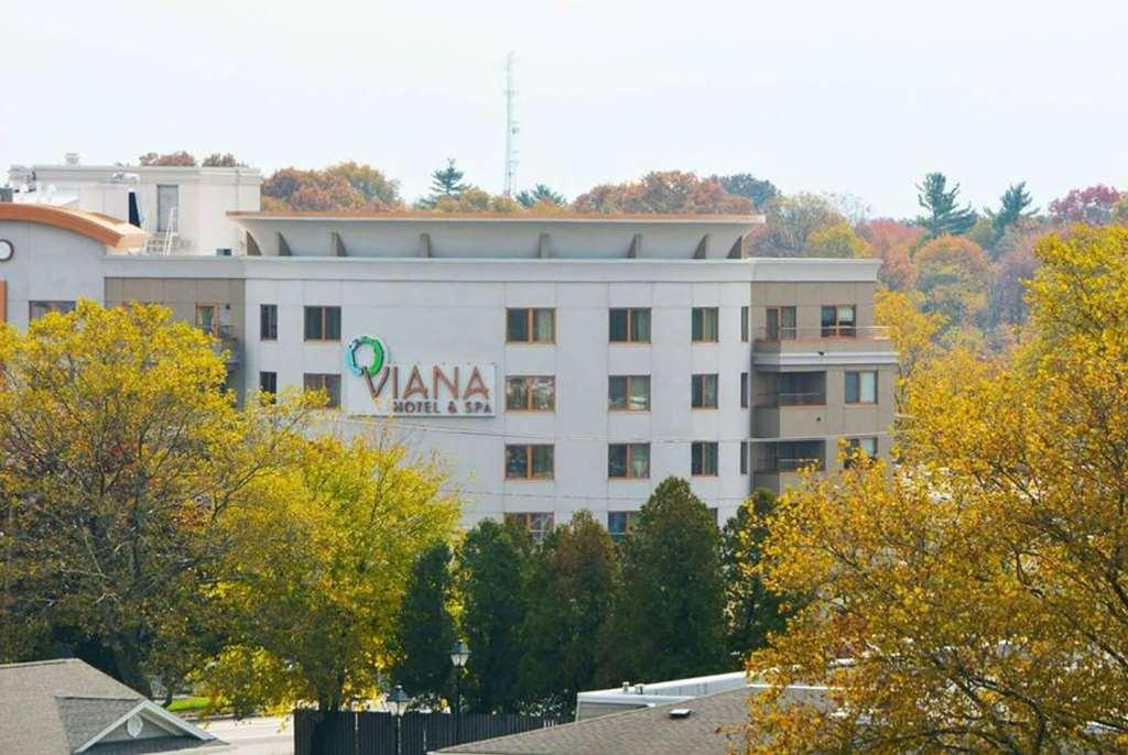 Viana Hotel And Spa, Trademark Collection By Wyndham Westbury Exteriér fotografie